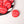 Red Book Club Button